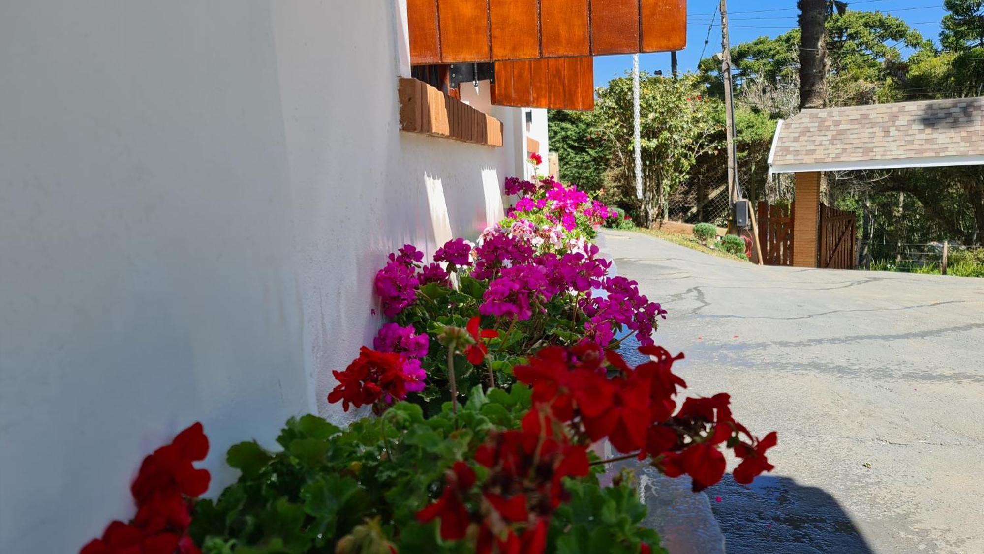 Paraiso Araucarias Casa de férias Campos do Jordão