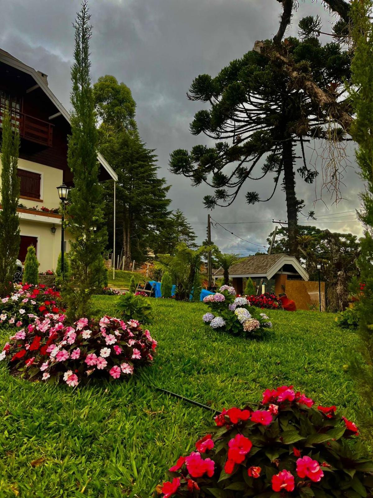 Paraiso Araucarias *